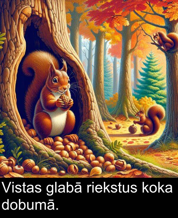 koka: Vistas glabā riekstus koka dobumā.