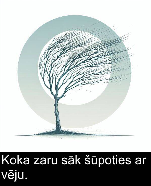 vēju: Koka zaru sāk šūpoties ar vēju.