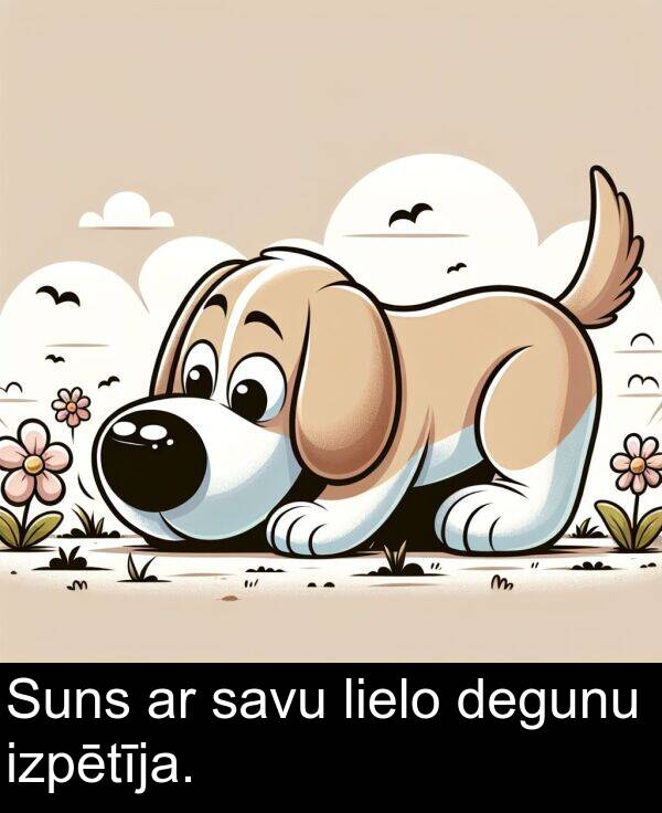 savu: Suns ar savu lielo degunu izpētīja.