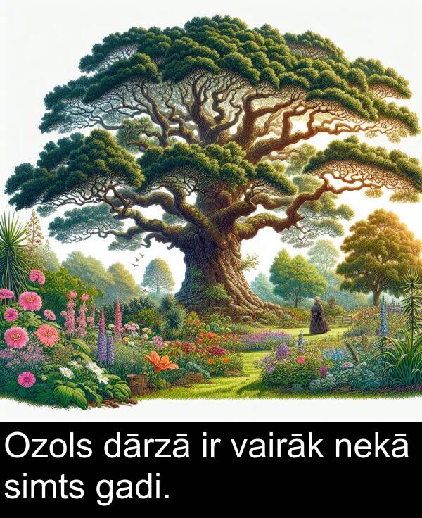gadi: Ozols dārzā ir vairāk nekā simts gadi.