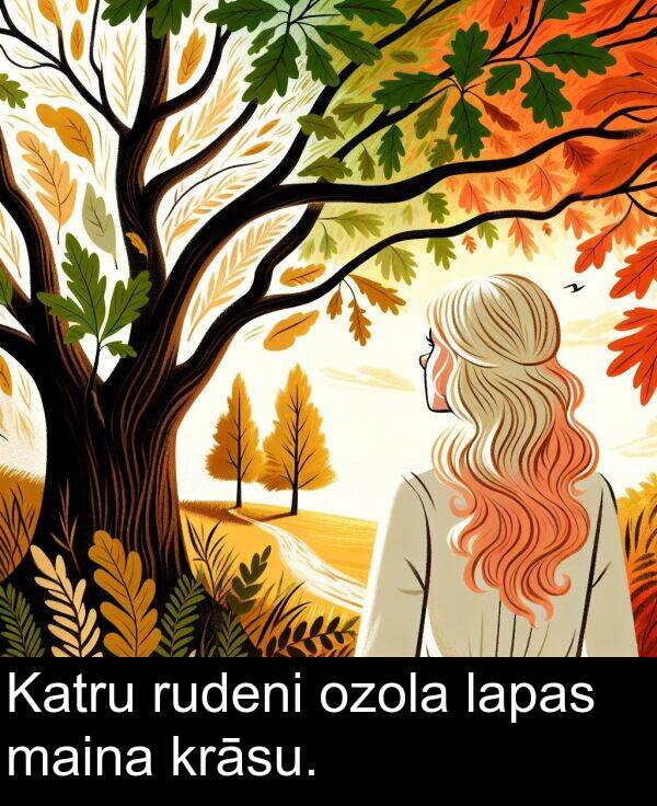 krāsu: Katru rudeni ozola lapas maina krāsu.
