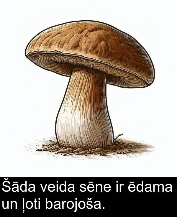 ēdama: Šāda veida sēne ir ēdama un ļoti barojoša.