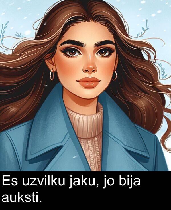 jaku: Es uzvilku jaku, jo bija auksti.