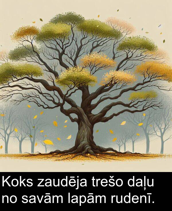 zaudēja: Koks zaudēja trešo daļu no savām lapām rudenī.