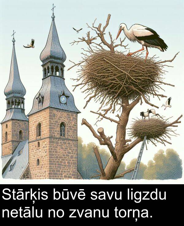 savu: Stārķis būvē savu ligzdu netālu no zvanu torņa.