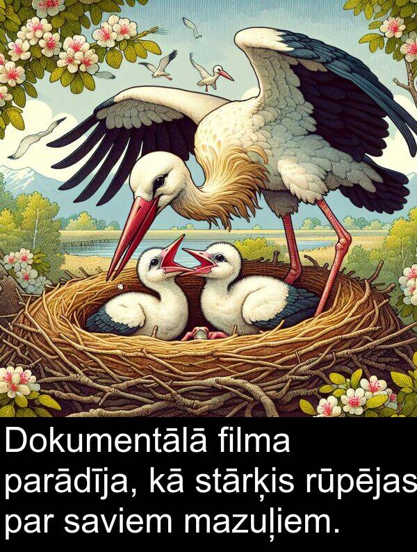 filma: Dokumentālā filma parādīja, kā stārķis rūpējas par saviem mazuļiem.