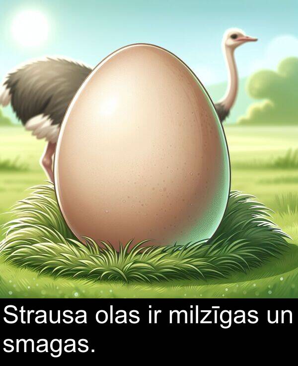 smagas: Strausa olas ir milzīgas un smagas.
