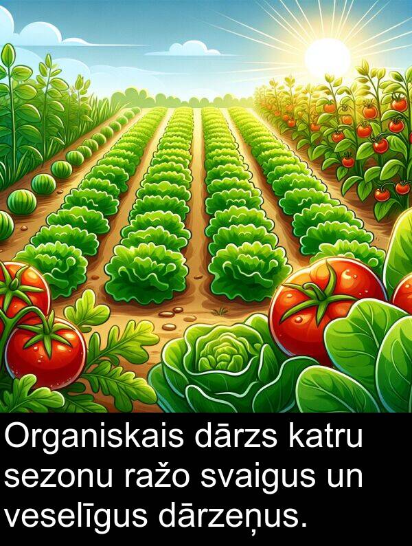 ražo: Organiskais dārzs katru sezonu ražo svaigus un veselīgus dārzeņus.