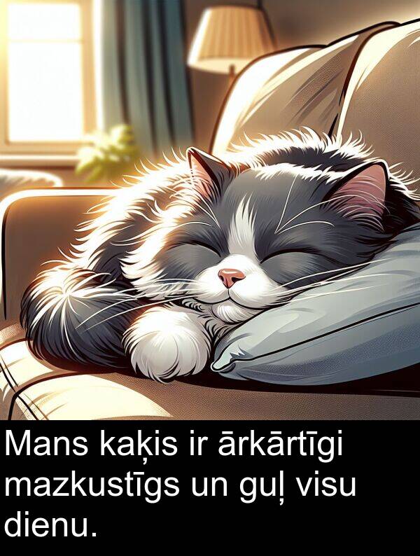 kaķis: Mans kaķis ir ārkārtīgi mazkustīgs un guļ visu dienu.