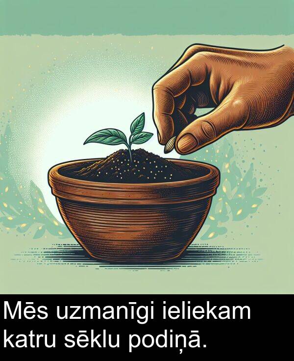 ieliekam: Mēs uzmanīgi ieliekam katru sēklu podiņā.