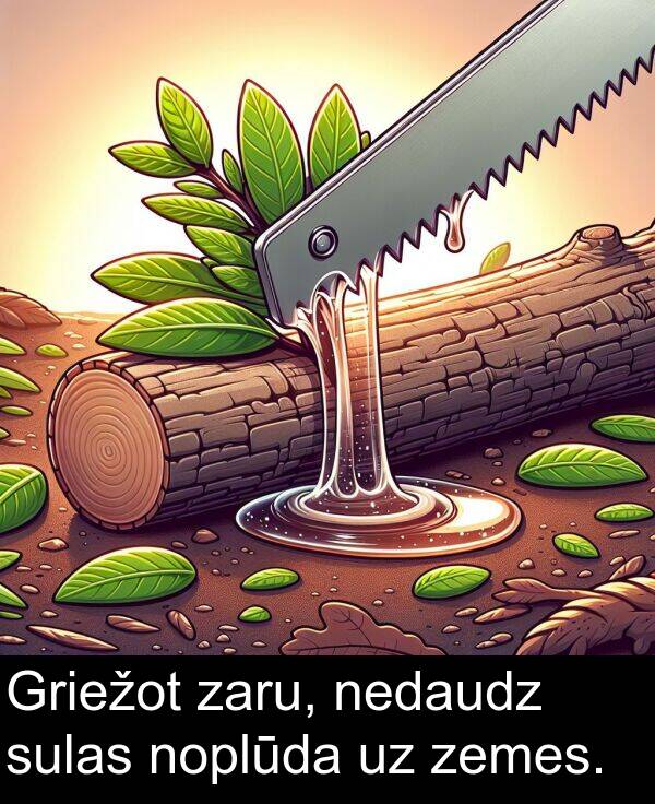 zaru: Griežot zaru, nedaudz sulas noplūda uz zemes.