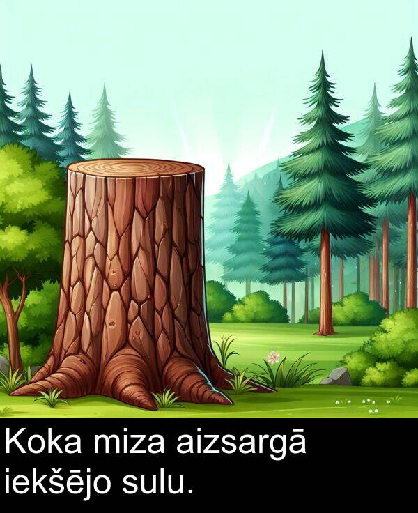 sulu: Koka miza aizsargā iekšējo sulu.