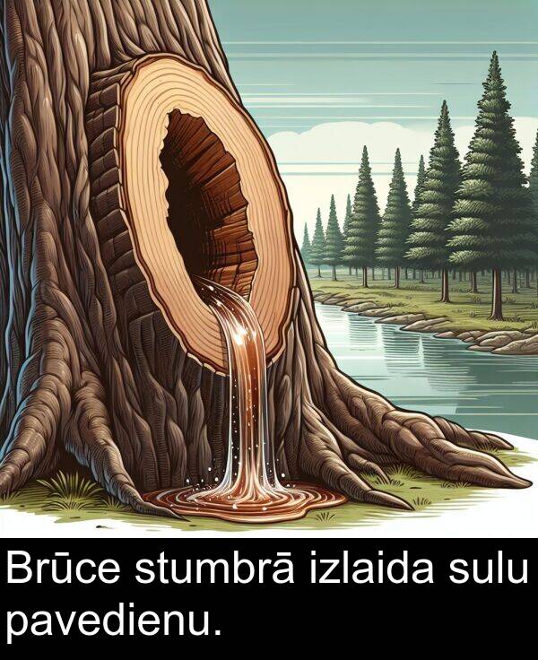 sulu: Brūce stumbrā izlaida sulu pavedienu.