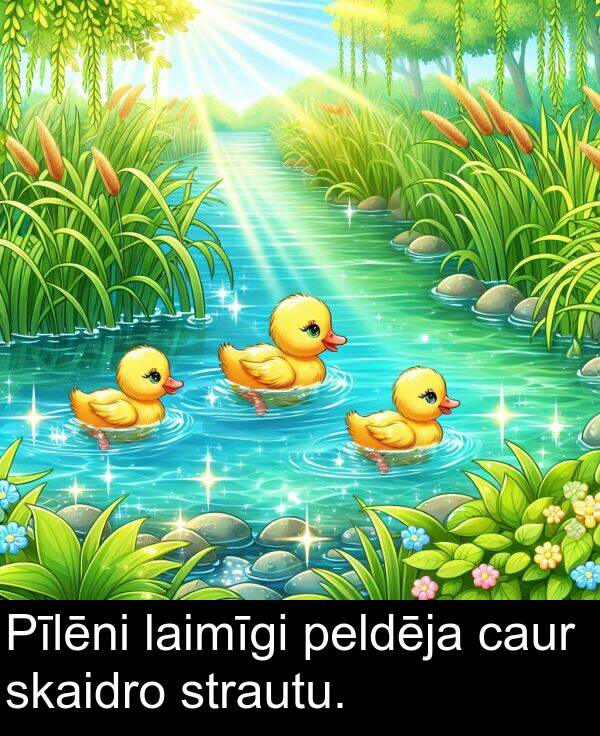 caur: Pīlēni laimīgi peldēja caur skaidro strautu.