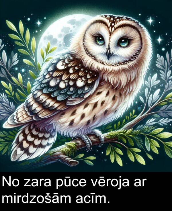 zara: No zara pūce vēroja ar mirdzošām acīm.