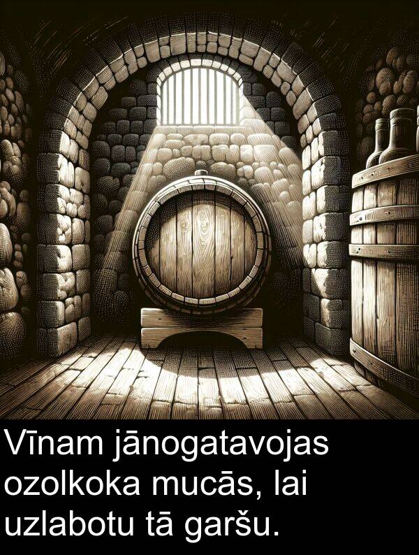 jānogatavojas: Vīnam jānogatavojas ozolkoka mucās, lai uzlabotu tā garšu.