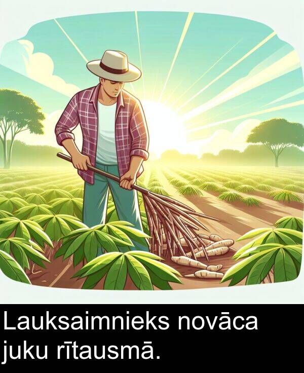 novāca: Lauksaimnieks novāca juku rītausmā.