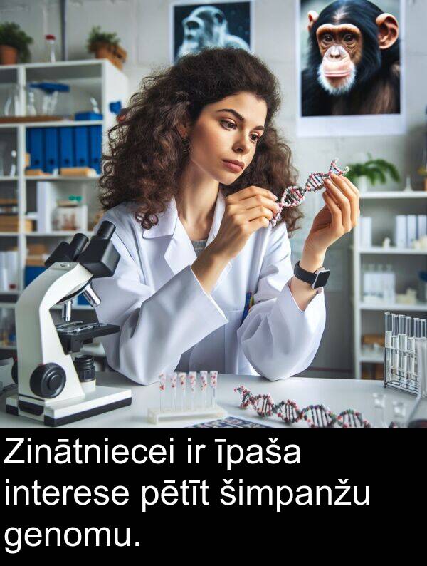 šimpanžu: Zinātniecei ir īpaša interese pētīt šimpanžu genomu.