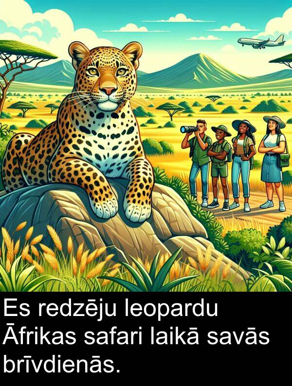 safari: Es redzēju leopardu Āfrikas safari laikā savās brīvdienās.