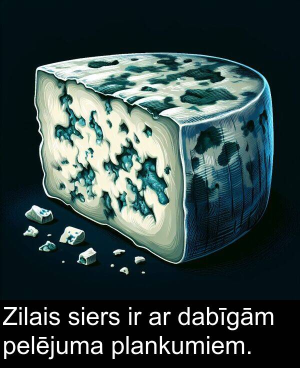 pelējuma: Zilais siers ir ar dabīgām pelējuma plankumiem.