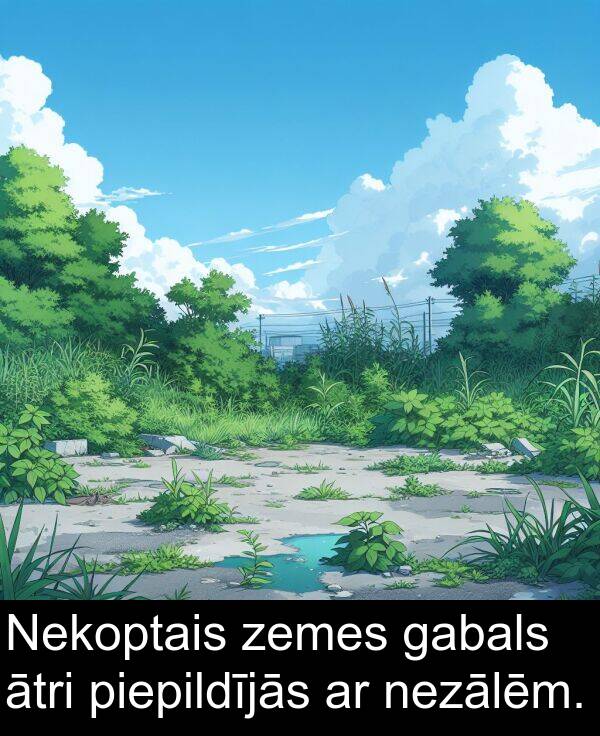 zemes: Nekoptais zemes gabals ātri piepildījās ar nezālēm.