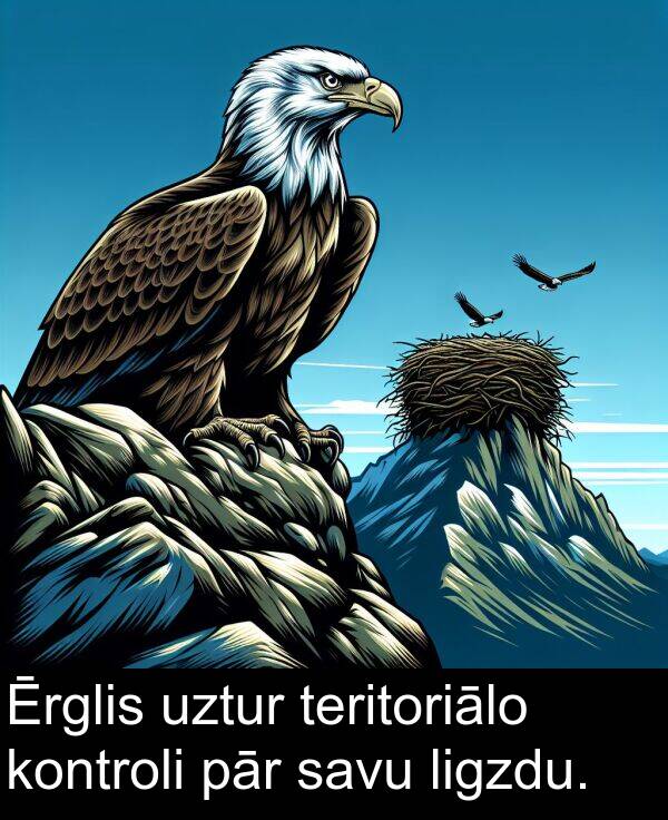 kontroli: Ērglis uztur teritoriālo kontroli pār savu ligzdu.