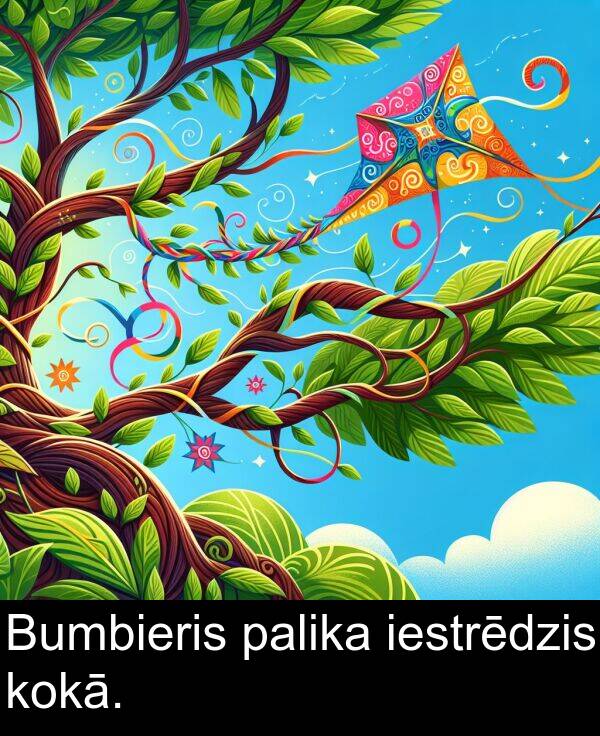 kokā: Bumbieris palika iestrēdzis kokā.