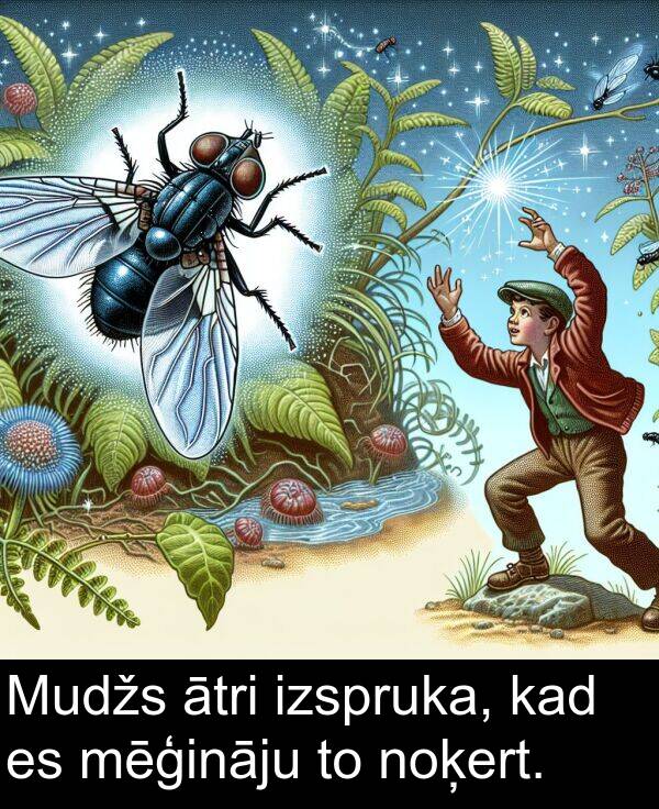 kad: Mudžs ātri izspruka, kad es mēģināju to noķert.