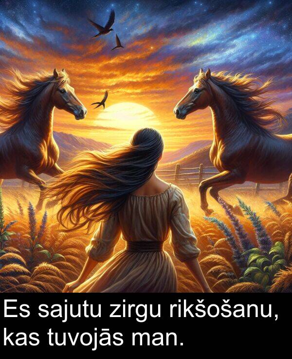 sajutu: Es sajutu zirgu rikšošanu, kas tuvojās man.