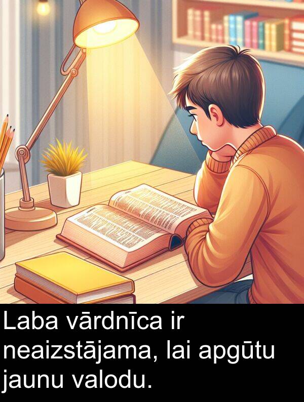 vārdnīca: Laba vārdnīca ir neaizstājama, lai apgūtu jaunu valodu.