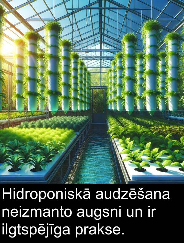 ilgtspējīga: Hidroponiskā audzēšana neizmanto augsni un ir ilgtspējīga prakse.
