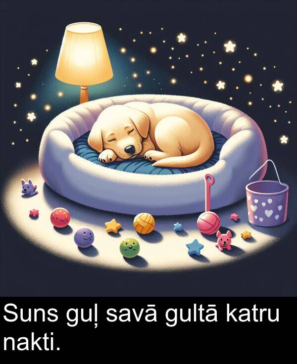 nakti: Suns guļ savā gultā katru nakti.