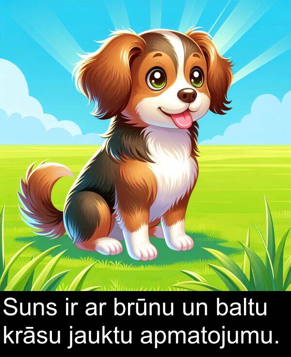 krāsu: Suns ir ar brūnu un baltu krāsu jauktu apmatojumu.