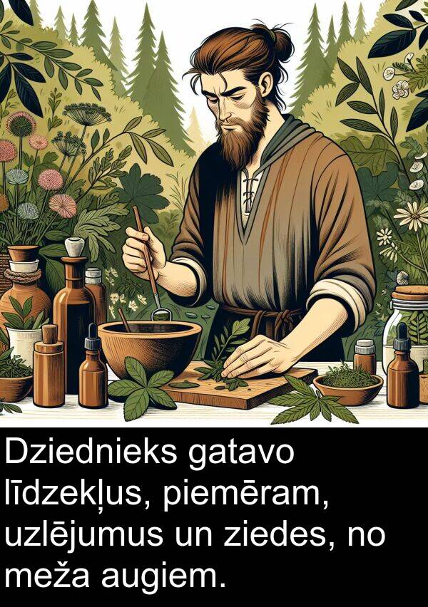 ziedes: Dziednieks gatavo līdzekļus, piemēram, uzlējumus un ziedes, no meža augiem.