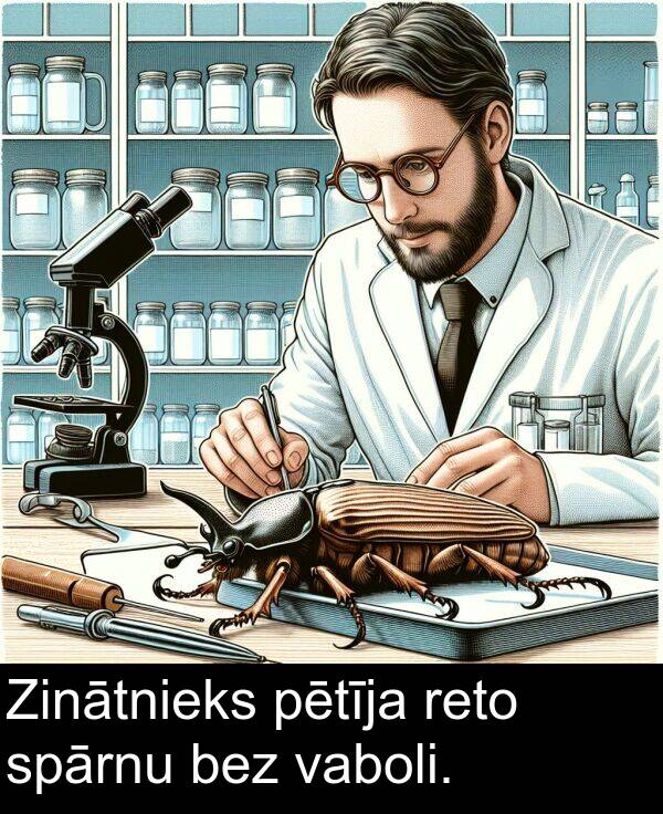pētīja: Zinātnieks pētīja reto spārnu bez vaboli.