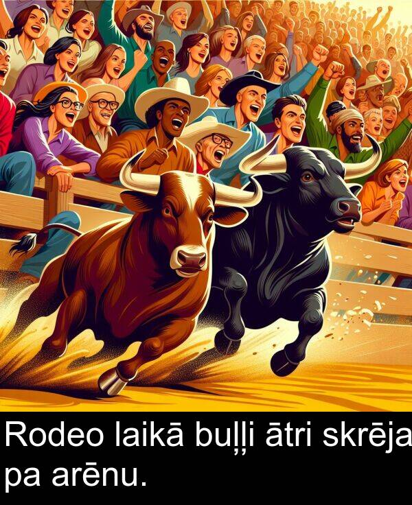laikā: Rodeo laikā buļļi ātri skrēja pa arēnu.