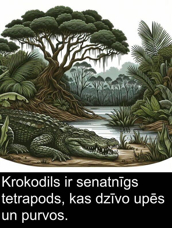 upēs: Krokodils ir senatnīgs tetrapods, kas dzīvo upēs un purvos.