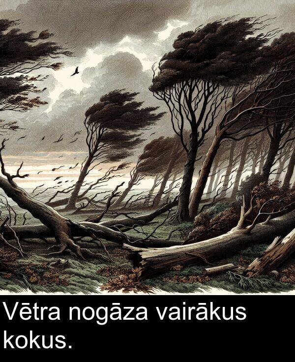kokus: Vētra nogāza vairākus kokus.