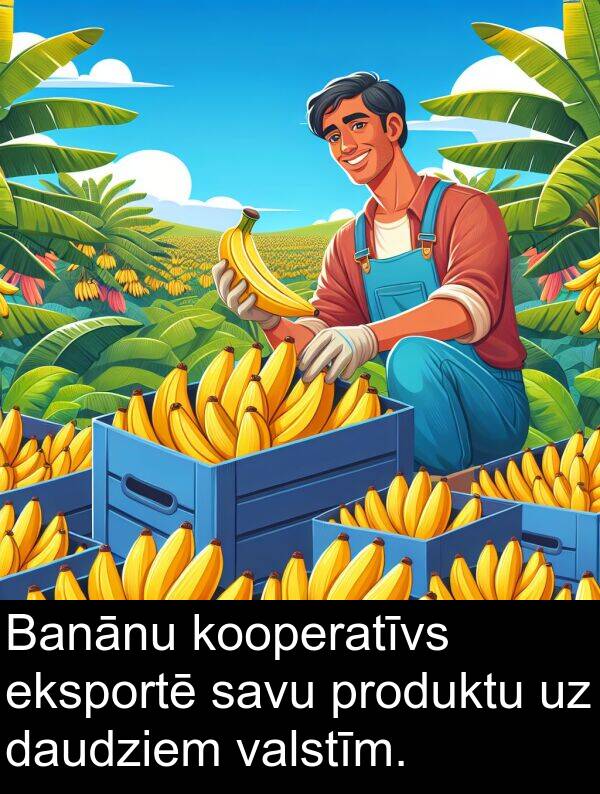 valstīm: Banānu kooperatīvs eksportē savu produktu uz daudziem valstīm.