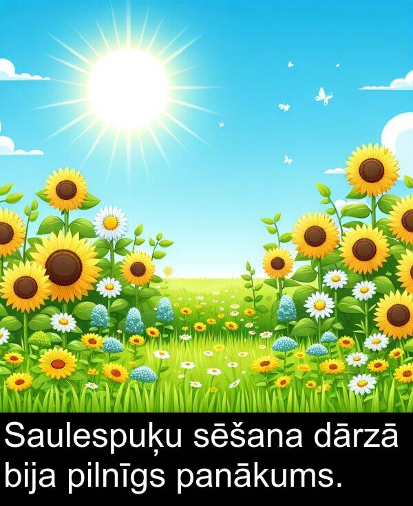 pilnīgs: Saulespuķu sēšana dārzā bija pilnīgs panākums.