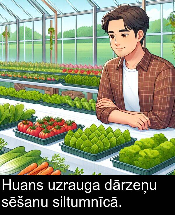 uzrauga: Huans uzrauga dārzeņu sēšanu siltumnīcā.