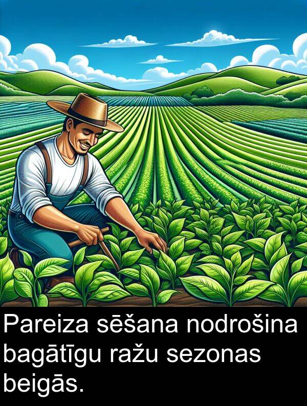 sezonas: Pareiza sēšana nodrošina bagātīgu ražu sezonas beigās.