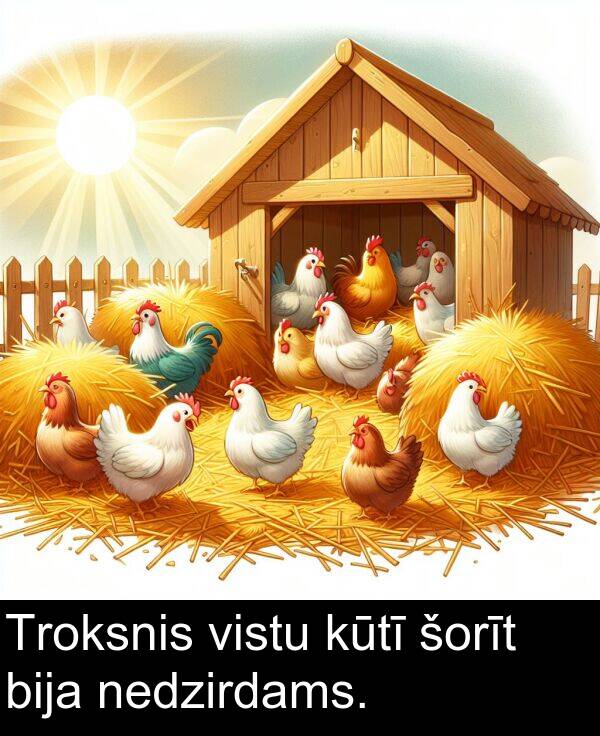 kūtī: Troksnis vistu kūtī šorīt bija nedzirdams.