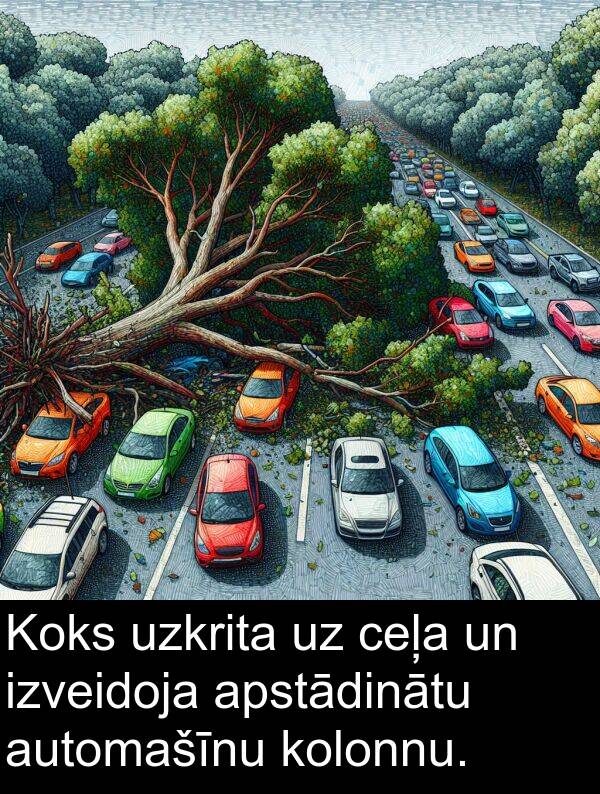 ceļa: Koks uzkrita uz ceļa un izveidoja apstādinātu automašīnu kolonnu.