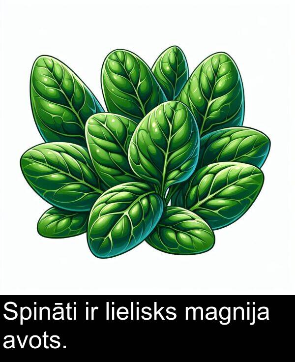 magnija: Spināti ir lielisks magnija avots.
