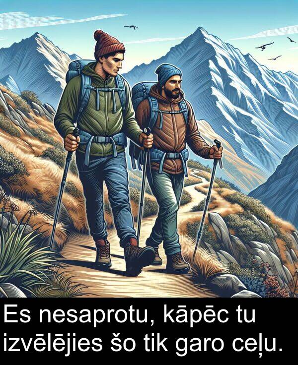 ceļu: Es nesaprotu, kāpēc tu izvēlējies šo tik garo ceļu.