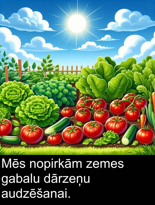 gabalu: Mēs nopirkām zemes gabalu dārzeņu audzēšanai.