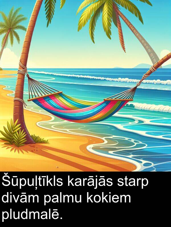 kokiem: Šūpuļtīkls karājās starp divām palmu kokiem pludmalē.