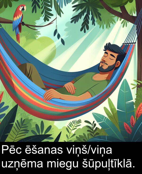 uzņēma: Pēc ēšanas viņš/viņa uzņēma miegu šūpuļtīklā.
