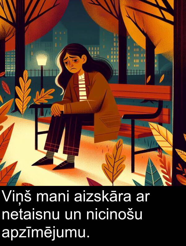 aizskāra: Viņš mani aizskāra ar netaisnu un nicinošu apzīmējumu.